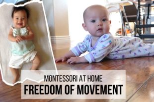 MONTESSORI AT HOME: Freedom of Movement Learn how to maximize your baby's ability and freedom to move so that he or she can achieve their peak physical development on a natural timeline.
