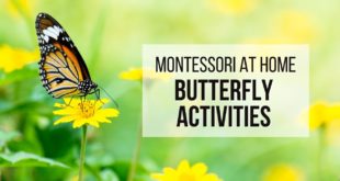 MONTESSORI AT HOME: Montessori Butterfly Activities for Toddlers and PreschoolMONTESSORI AT HOME: Montessori Butterfly Activities for Toddlers and Preschool
