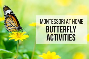 MONTESSORI AT HOME: Montessori Butterfly Activities for Toddlers and PreschoolMONTESSORI AT HOME: Montessori Butterfly Activities for Toddlers and Preschool