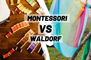 MONTESSORI VS WALDORF Discover more about each of these popular alternative educational approaches, including how they are both similar and very different from one another.