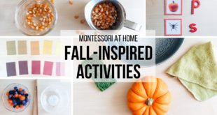 MONTESSORI AT HOME: Montessori Fall Activities Discover 24 simple activities inspired by the autumn season, and designed for young children in a Montessori environment.