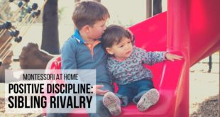 MONTESSORI AT HOME: Positive Discipline Sibling Rivalry Discover simple strategies for promoting a positive sibling relationship, and techniques for how to handle sibling conflict with positive discipline and a respectful parenting approach.