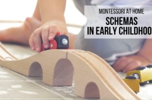 MONTESSORI AT HOME: Schemas in Early Childhood Learn how to identify the 8 most common schemas observed in early childhood, and discover simple ideas for activities and toys that will help support your child’s exploration of each one.