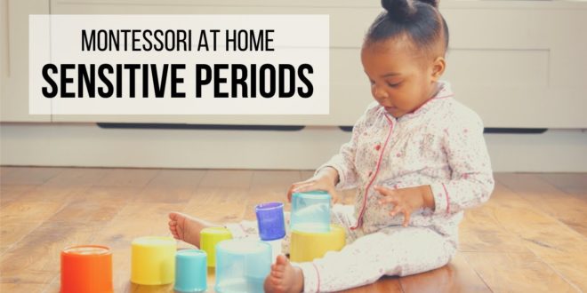 MONTESSORI AT HOME: Sensitive Periods Learn about Dr. Montessori's observations of the various sensitive periods of young children between birth and age 7, and discover simple ways to support them at home.
