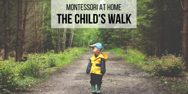 MONTESSORI AT HOME: The Child's Walk Learn about a Montessori perspective on spending time outdoors with your child that will maximize their developmental benefits.