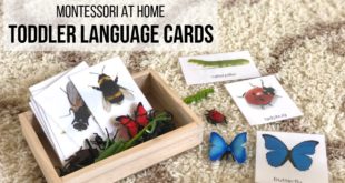 MONTESSORI AT HOME: Bean Bag Activities Discover several different Montessori activities that you can do at home using simple bean bags, plus a couple of bonus activities!