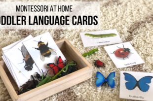 MONTESSORI AT HOME: Toddler Language Cards Learn how to promote your toddler's language development at home using Montessori language materials, including three fun and engaging games with Montessori nomenclature cards