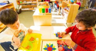 Special Needs and Montessori A Harmonious Blend