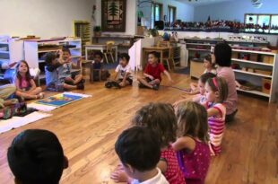 The Parent-Educator Partnership: Strengthening Montessori Education Together